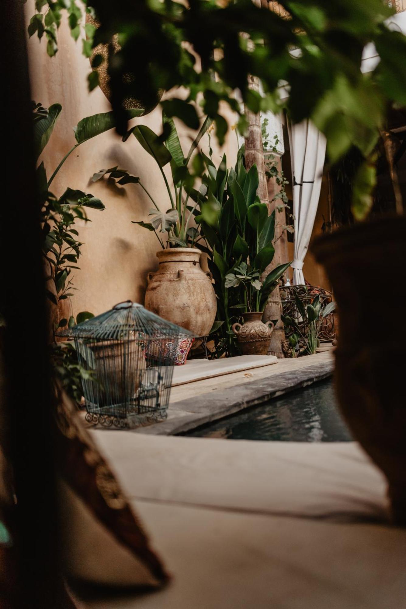 Riad Roxanne Маракеш Стая снимка